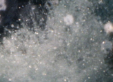 Magischer Sturm