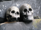 Der schwarze Tod